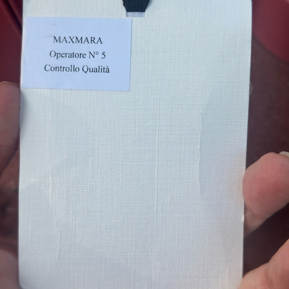 MaxMara Small Whitney Anniversary Edition - Picture 10 of 13